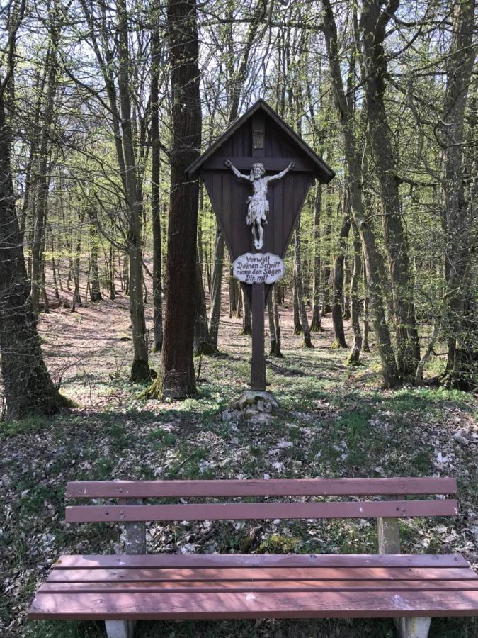 Pension-Ferienwohnung Liesbachtal Direkt Am Waldrand Bayerische Rhoen Schonau an der Brend Bagian luar foto