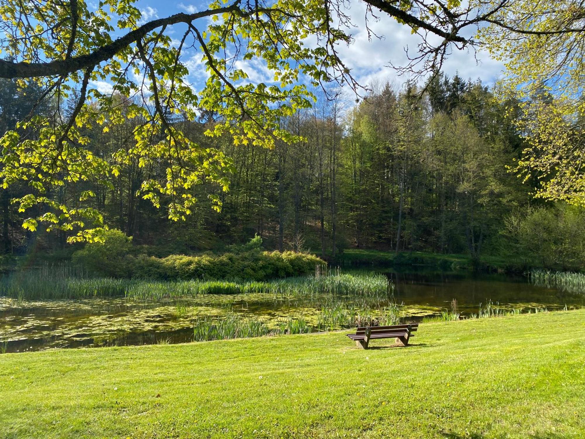 Pension-Ferienwohnung Liesbachtal Direkt Am Waldrand Bayerische Rhoen Schonau an der Brend Bagian luar foto