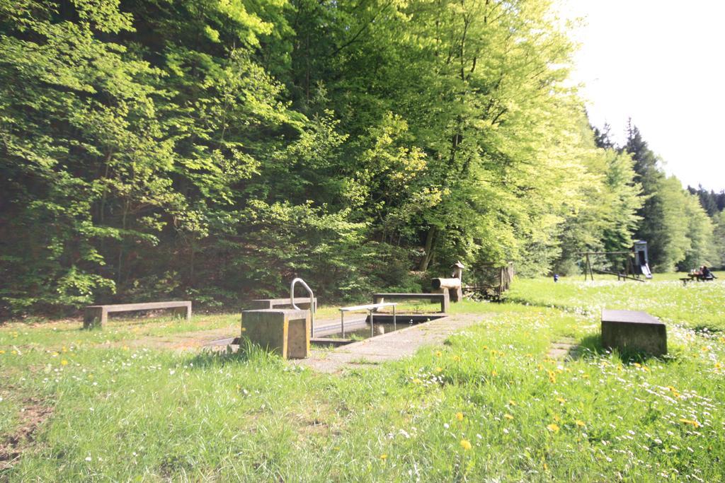 Pension-Ferienwohnung Liesbachtal Direkt Am Waldrand Bayerische Rhoen Schonau an der Brend Bagian luar foto
