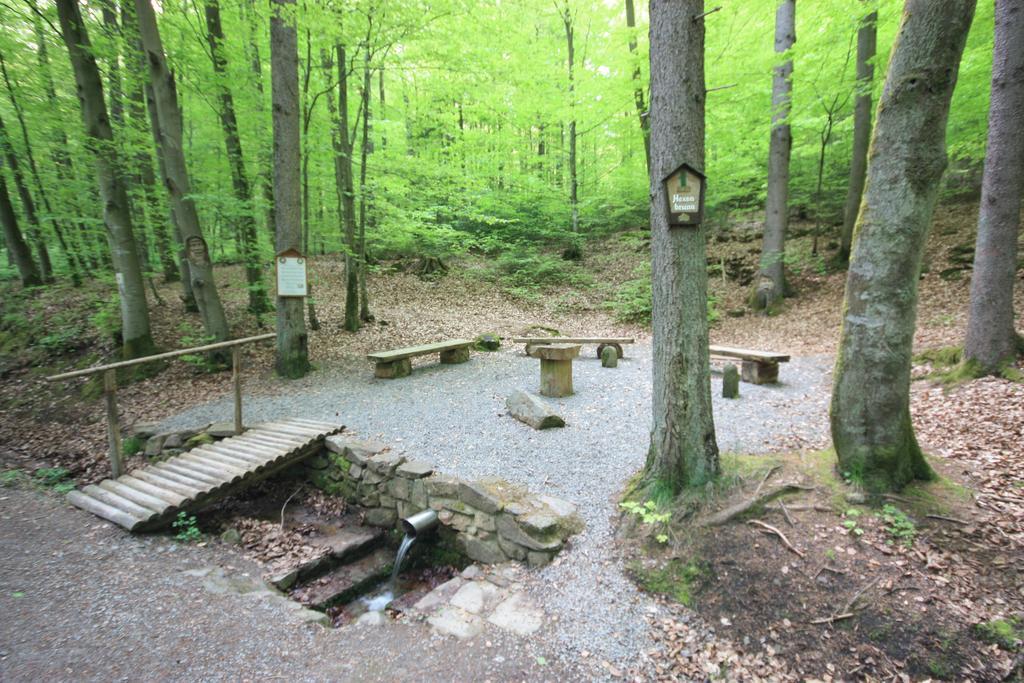 Pension-Ferienwohnung Liesbachtal Direkt Am Waldrand Bayerische Rhoen Schonau an der Brend Bagian luar foto