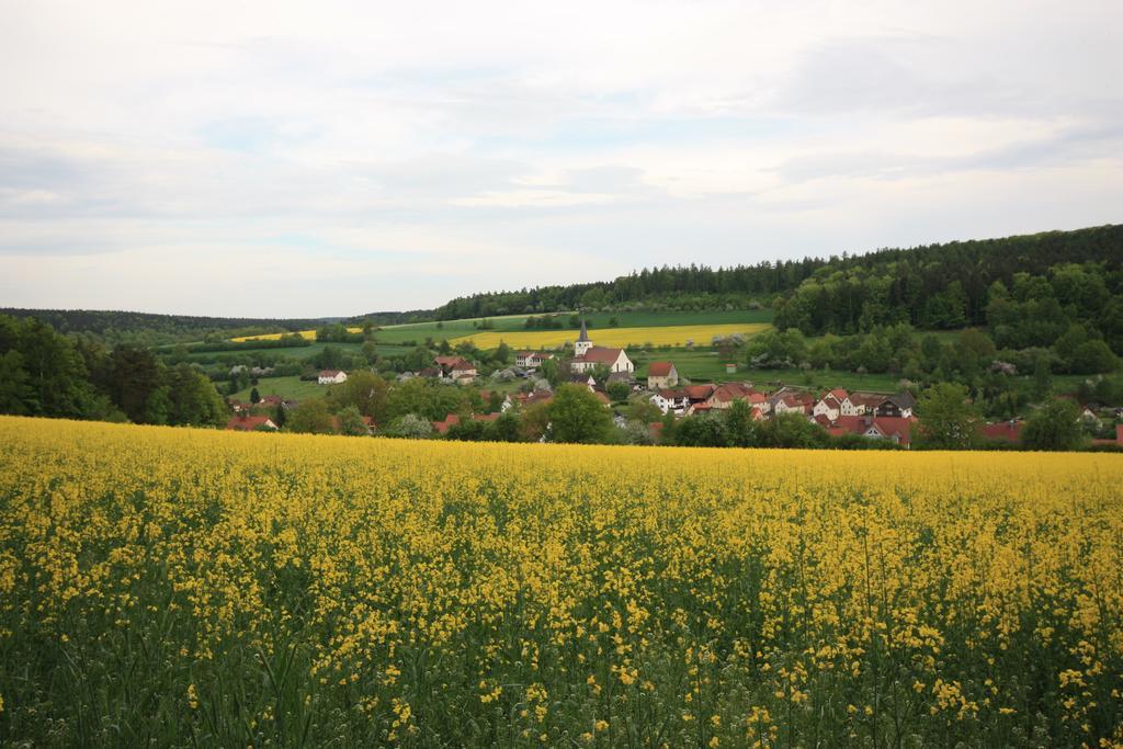 Pension-Ferienwohnung Liesbachtal Direkt Am Waldrand Bayerische Rhoen Schonau an der Brend Bagian luar foto